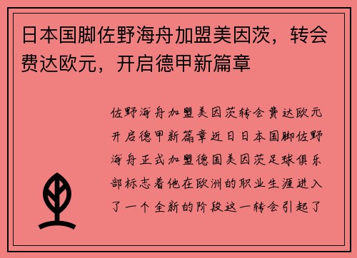 日本国脚佐野海舟加盟美因茨，转会费达欧元，开启德甲新篇章