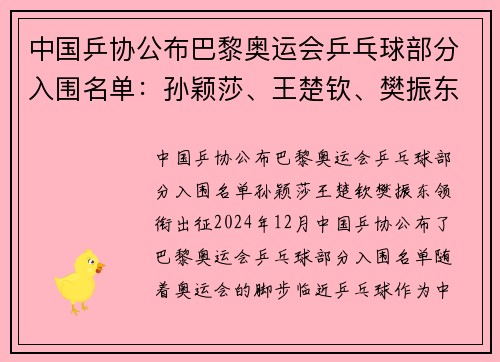 中国乒协公布巴黎奥运会乒乓球部分入围名单：孙颖莎、王楚钦、樊振东领衔出征