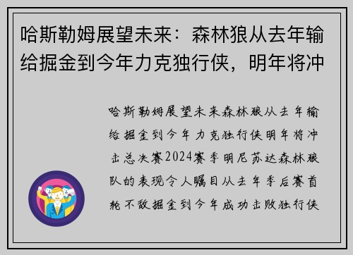 哈斯勒姆展望未来：森林狼从去年输给掘金到今年力克独行侠，明年将冲击总决赛！