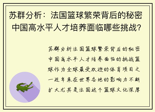 苏群分析：法国篮球繁荣背后的秘密 中国高水平人才培养面临哪些挑战？